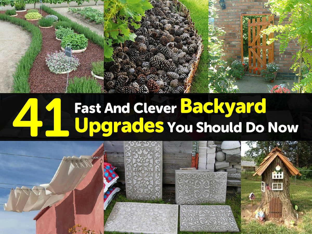 41 Fast And Clever Backyard Upgrades You Should Do Now